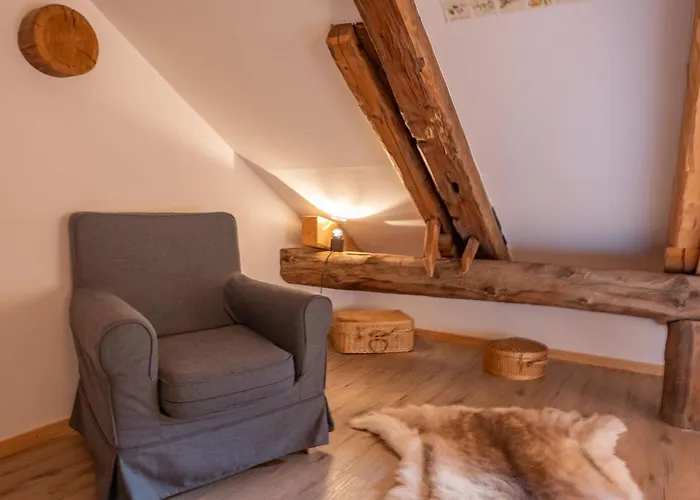 Chesa Olgiati 1 By Interhome Daire Celerina/Schlarigna