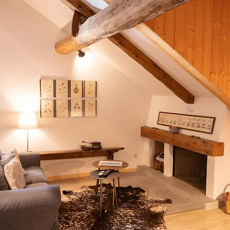 Lejlighed Chesa Olgiati 1 By Interhome