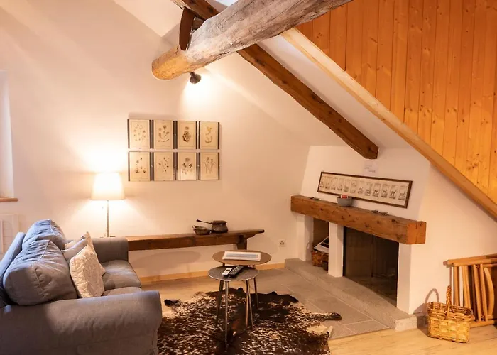 Lejlighed Chesa Olgiati 1 By Interhome